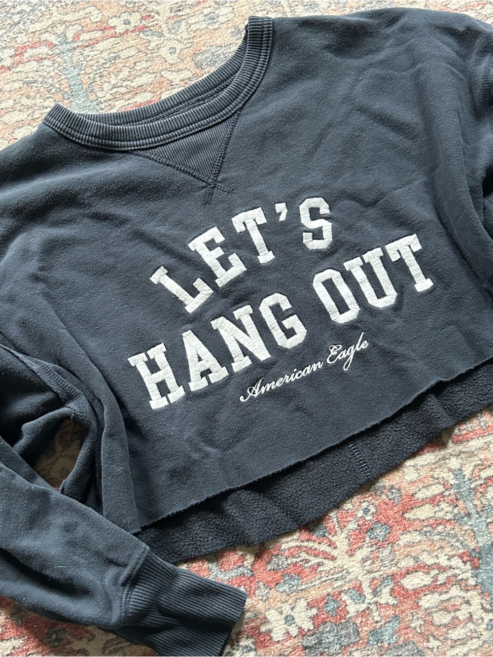 American Eagle Cropped Sweater Embroidered